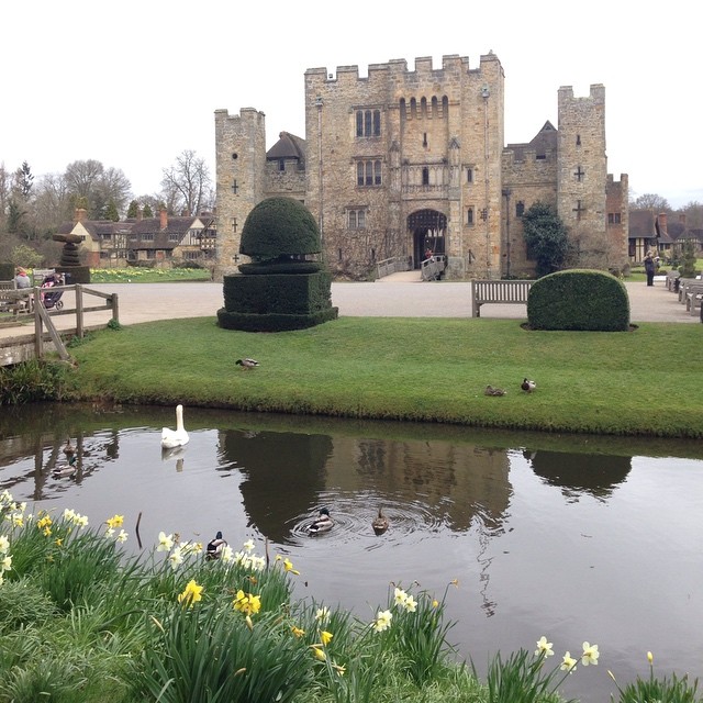 12376300_10205599643221515_2246620966926163266_n